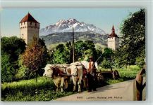 Luzern Lucerne Musegg und Pilatus Bauer mit Kühen Kuh