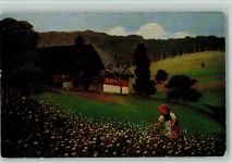 Serie II Nr. 13 Künstlerpostkarten aus dem Schwarzwald - Schwarzwaldhaus Harbers