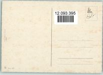 Spaniel ca 1965 AK Spaniel