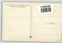 Brüllende See-Elefanten, gute Erhaltung AK Zoo 1936 Foto AK