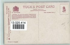 Tucks AK Serie Wild animals Nr. 8785 AK Löwe Künstlerkarte