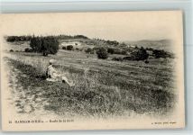 Hammam-R`Hira - Route de la foret, gute Erhaltung AK