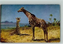 sign Müller jun. München - Giraffen Exotisches Tier