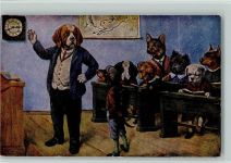 Hundeschule, vermenschlichte Tiere AK Dackel 1950