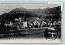 91224 W8561 Eschenbach b Lauf a d Pegnitz 1909 - Carl Ellers Postkarten 8041 - Teilansicht AK