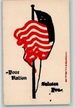 Your Nation - Salut Fahne
