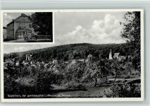 65779 W6233 Eppenhain , Taunus 1953 - Gasthof Petry, gute Erhaltung AK
