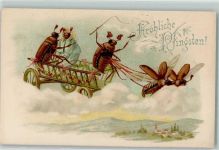 Tiergespann Käfer vermenschlicht Pfingsten AK Maikäfer 1900 Lithographie / Prägedruck