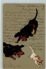 Spiel mit der Katze AK Dackel 1903 Lithographie / Prägedruck