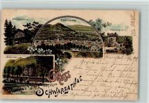 07407 O6822 Schwarza Lithographie 1899 Schwarzathal Schweizerhaus Blankenburg Eberstein Lösches Hall