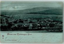 38685 W3394 Wolfshagen im Harz 1904 Mondschein