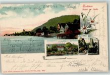 78351 W7762 Bodman 1903 Lithographie Hotel zur Linde Burgruine Bodensee