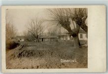 Focsani Foto AK Dimaciu Suraia Kreis Vrancea