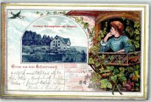 79650 W7860 Schweigmatt 1900 Gebrauchsspuren Kurhaus Schwarzwald Gruss Vogel Brief Frau
