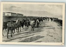 Shkodra Skutari 1916 Foto AK WK I Gebirgsartillerie