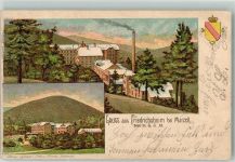 79429 W7841 Friedrichsheim 1899 Lithographie Badisches Wappen Heilstätte Friedrichsheim