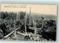 O3706 Schierke am Brocken Gewitterbruch 1904 - gute Erhaltung AK Naturereignis