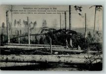 Leubringen Evilard Sturm - Waldsturz ob Leubringen b. Biel 1911 AK Naturereignis 1912