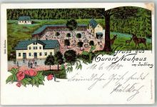 37603 W3450 Neuhaus im Solling 1900 Lithographie Kurhaus-Garten Rehe Hirsch