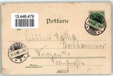 16259 O1310 Bad Freienwalde 1898 Lithographie Bismarck Turm Kriegerdenkmal Kurhaus Baa See Kirche Vögel Gruss