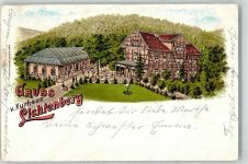 38226 W3320 Lichtenberg 1898 Lithographie Kurhaus