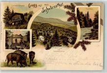 Schwarzatal 1899 Lithographie Eber Eberstein Schweizerhaus Schloß vom Helensitz