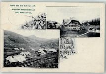 79837 W7821 Menzenschwand 1910 - Schwarzwälder Bauernhäuser