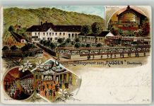 01445 O8122 Oberlössnitz 1899 Gebrauchsspuren Etablissement zunm Russen Speisesaal Ballsaal Musikpavillon Lithographie