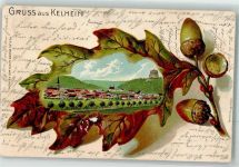 93309 W8420 Kelheim 1902 Gebrauchsspuren Prägedruck Eichenblatt Eichel RS. Das heutige Toledo