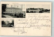 95688 W8591 Friedenfels 1901 - Schloßbrauerei Schloß Friedenfels