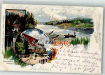73553 W7061 Ebnisee 1901 Lithographie Hotel Ebnisee Schweizerhaus am See Ebnisee Ruderboot