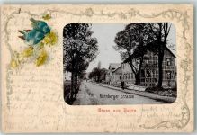 36179 W6440 Bebra 1902 Passepartout Nürnberger Straße Singvögel