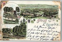 01445 O8122 Niederlössnitz 1900 Lithographie Etablissement Flora Lossnitzgrund