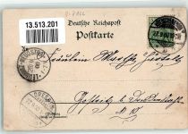 01445 O8122 Niederlössnitz 1900 Lithographie Etablissement Flora Lossnitzgrund