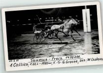 Taunus Preis 1954 Pferderennen Privatfoto AK