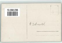 32756 W4930 Detmold Privatfoto AK Festzug Ort handschriftlich