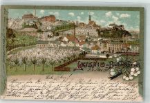 04703 O7320 Leisnig 1901 Lithographie Blüten Frühling