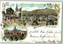 01445 O8122 Niederlössnitz 1899 Lithographie Rathaus Friedensburg