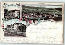 36381 W6490 Schlüchtern 1897 Gebrauchsspuren Bahnhof Gasthaus zum deutschen Kaiser Bahnpoststempel Litho