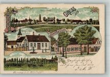 04509 O7270 Delitzsch 1905 BOAKC Lithographie Seelhausen Gasthaus zu Seehausen Fohlenweide