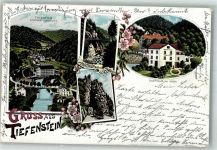 79733 W7883 Tiefenstein 1901 Lithographie Station Albbruck Albthal Gasthaus zur Post