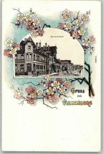 38690 W3387 Vienenburg Lithographie Kaiserstrasse Passepartout