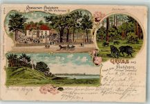 10115 W1000 Zehlendorf 1901 Lithographie Saubucht Gasthaus Paulsborn Jacco Säule Wildschweine