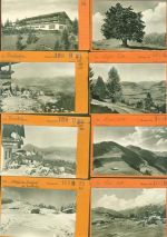87527 W8972 Sonthofen , Oberallgäu Kleinposten bis 20 Lot mit 18 AK Oft Alpe Eck Musterkarten Original aus Metzarchiv Bestellvorgänge und Auflagenzahlen