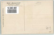 63879 W8751 Weibersbrunn - Hotel zur Spessart-Ruh Wildschweinrotte Hirsch Specht