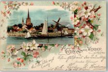 14542 O1512 Werder Havel 1900 Lithographie Heilig-Geist-Kirche Windmühle Heckenrosen Verlag Miesler