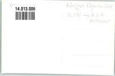 18586 O2345 Mönchgut - Verkehrsboot Ort handschriftlich