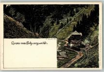 Gruss aus Schwarzwaldhaus Velten Verlag Nr. 5 Daur, H. 1899 Lithographie / Künstlerkarte