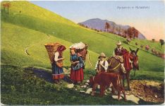 um 1910/20 - Eseltransport.,Esare Capello