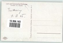 83395 W8228 Freilassing Künstlerkarte Luft- und Schwimmbad sign J. Brendle